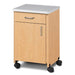 Clinton 8720-A Mobile, Molded Top Bedside Cabinet - DENTAMED USA