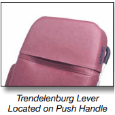 Graham Field Lumex® Clinical Care Recliner FR577RG - DENTAMED USA