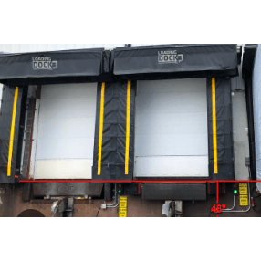 Delivery  Option - DENTAMED USA